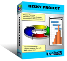 RiskyProject Professional
